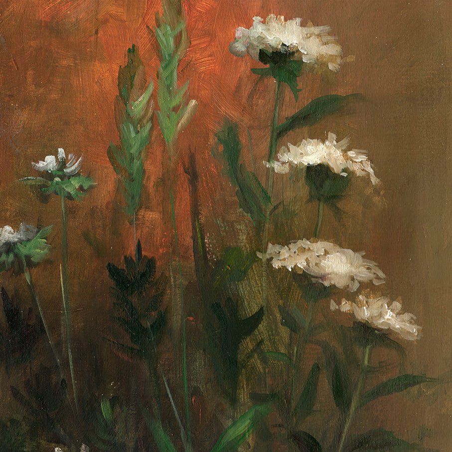 Wild Garden