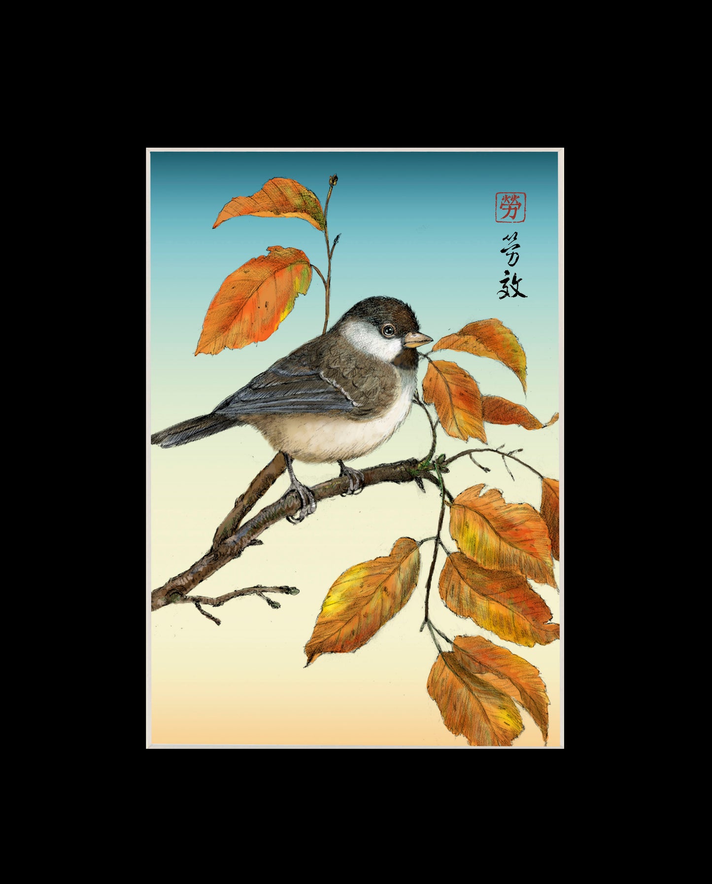 Black-capped Chickadee