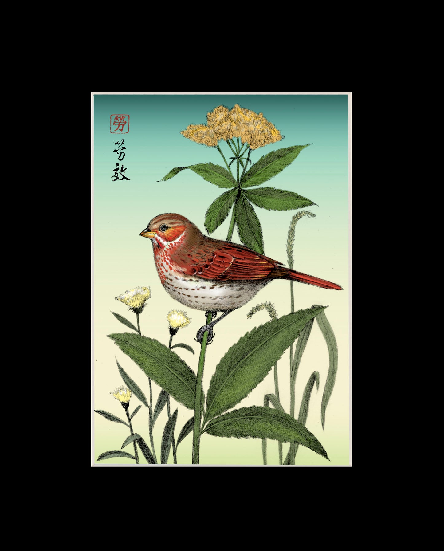 Fox Sparrow