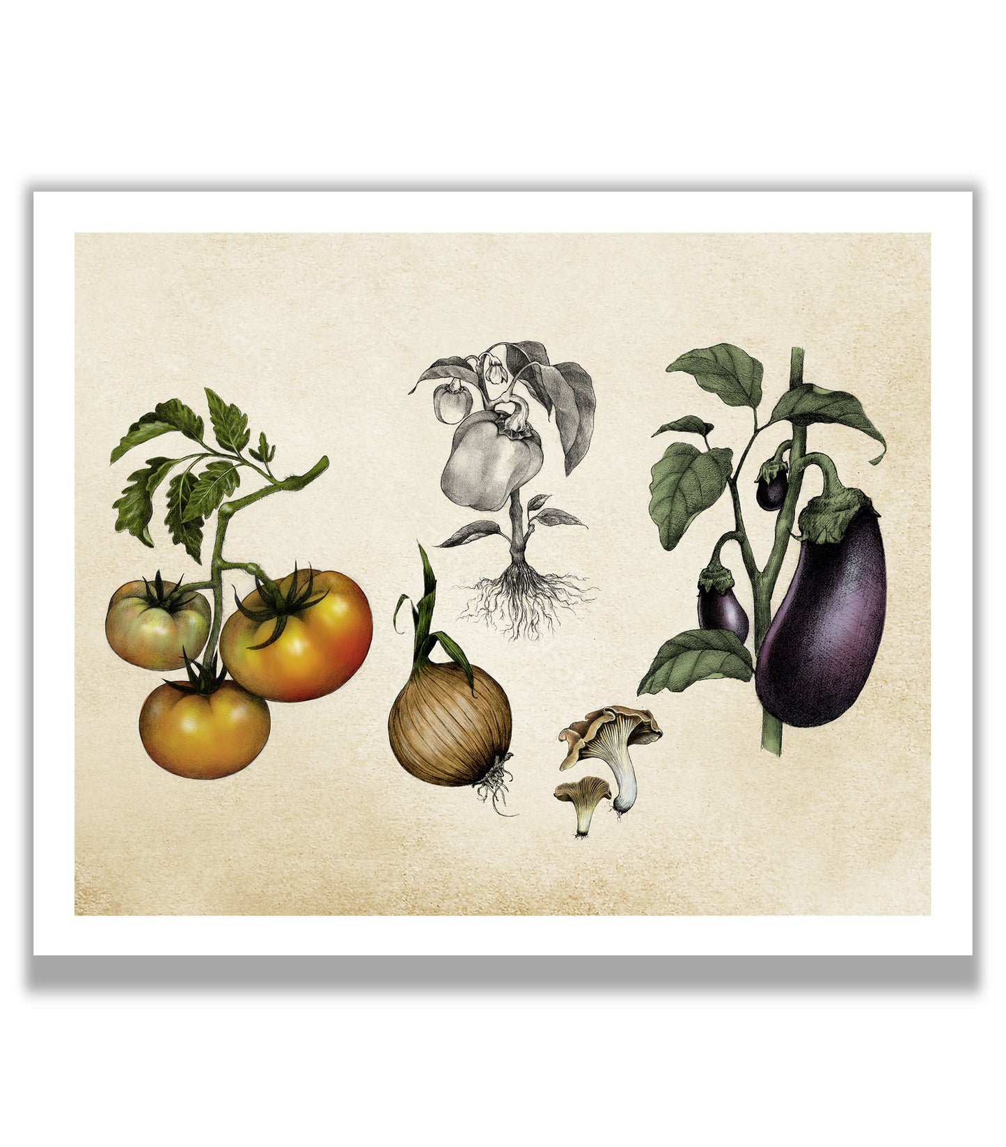 Mixed Vegetables