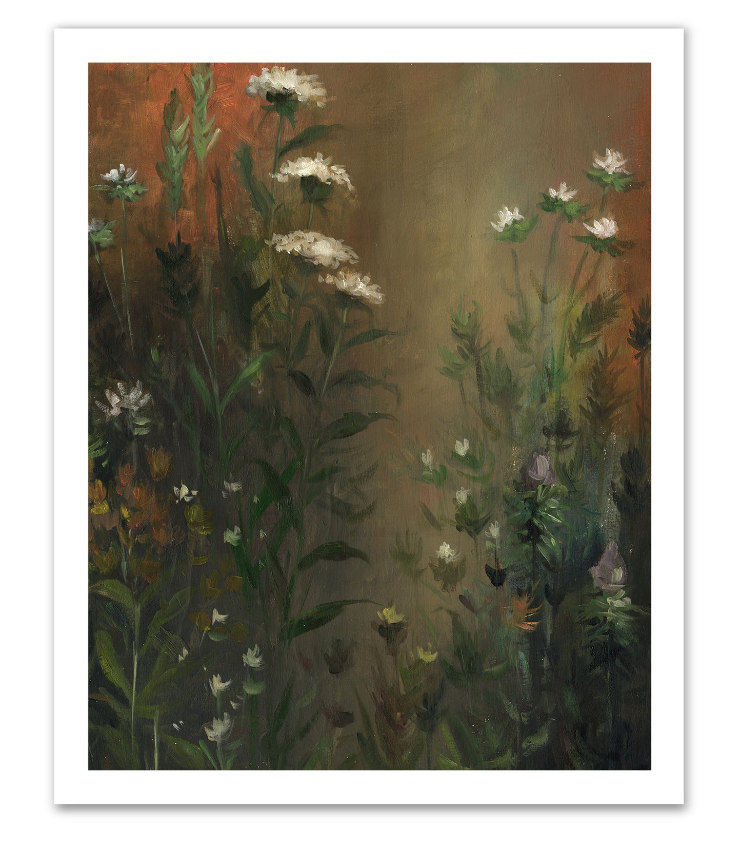 Wild Garden