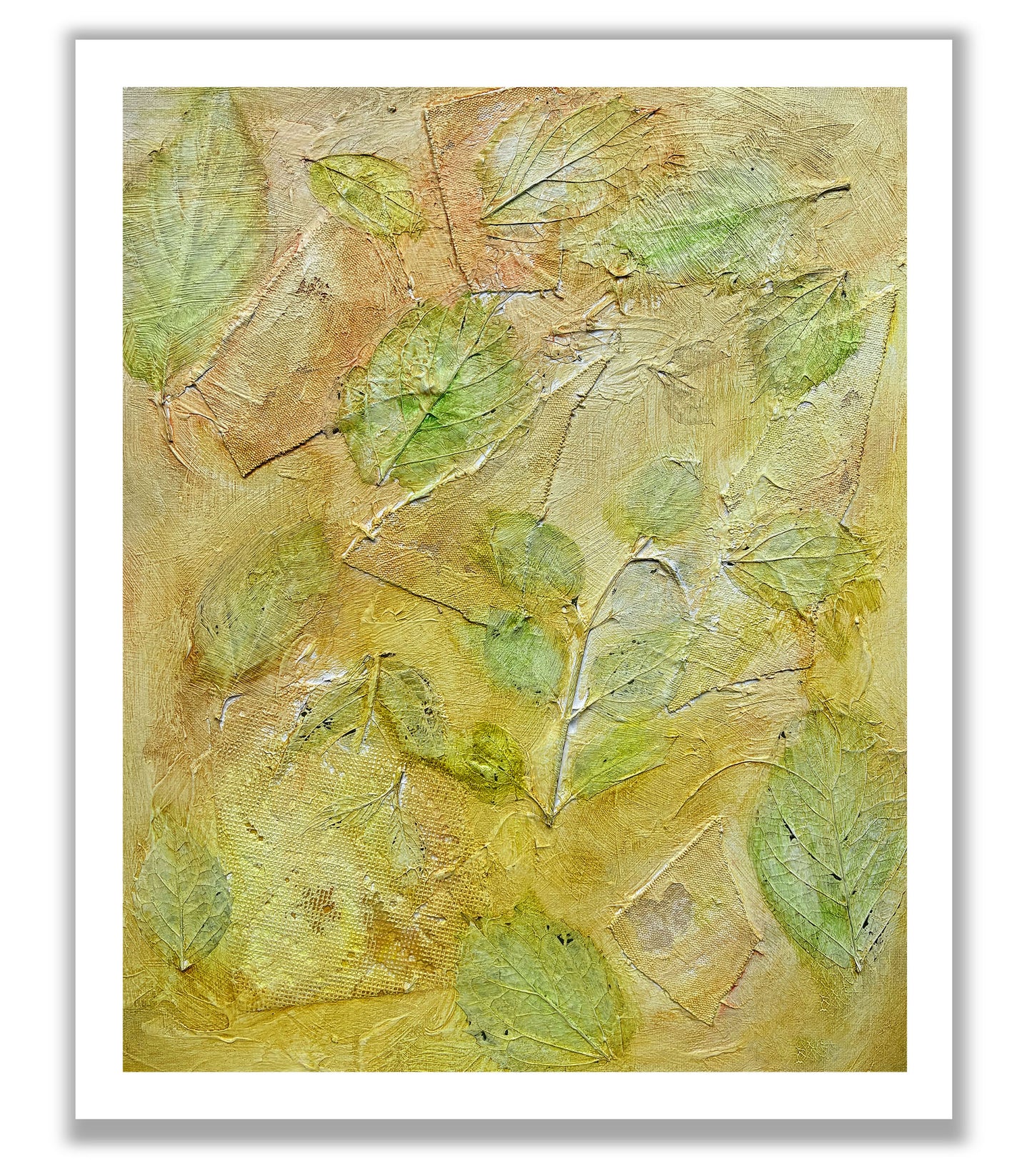 Garden Series 62