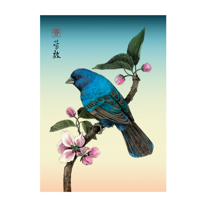 Indigo Bunting