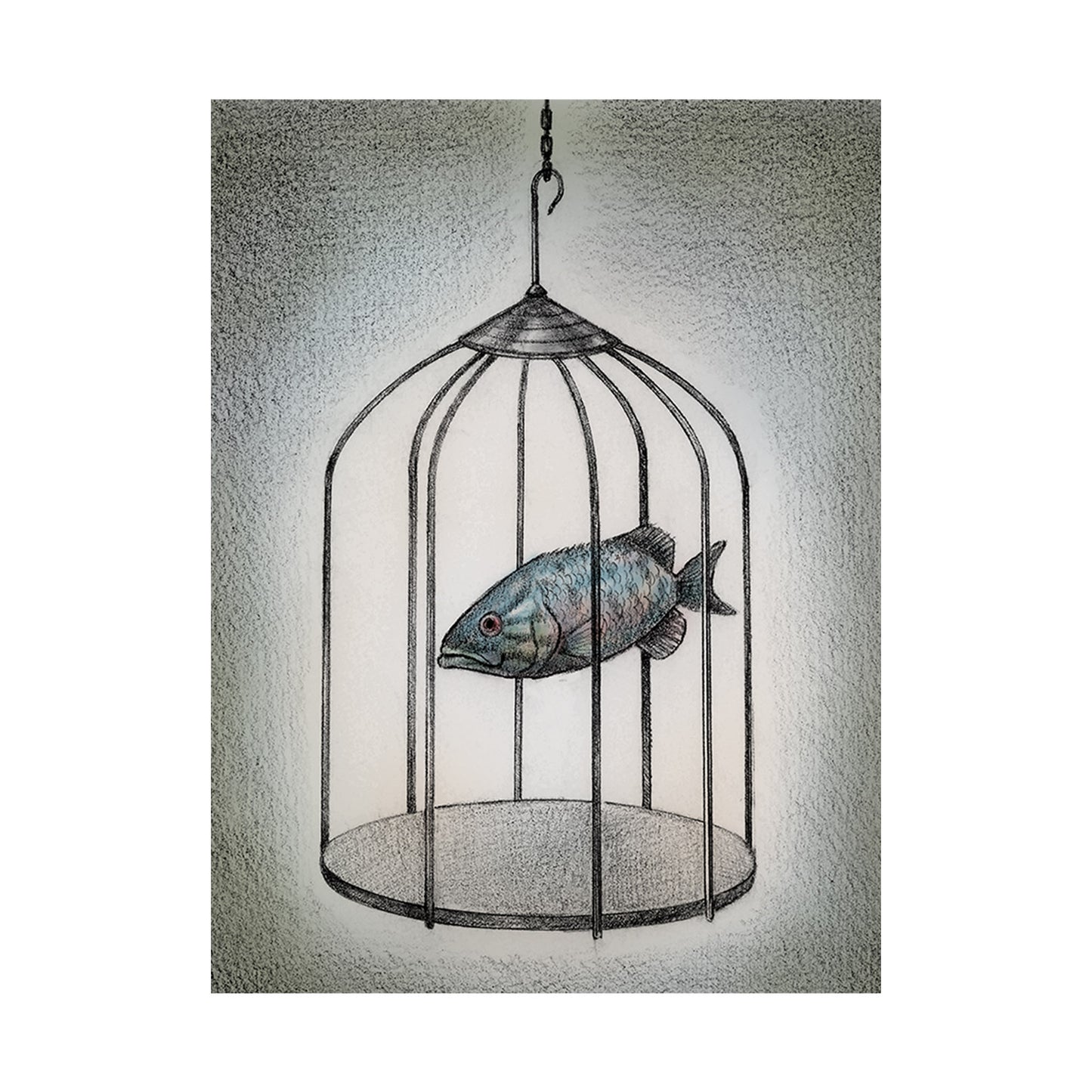 Fish Cage