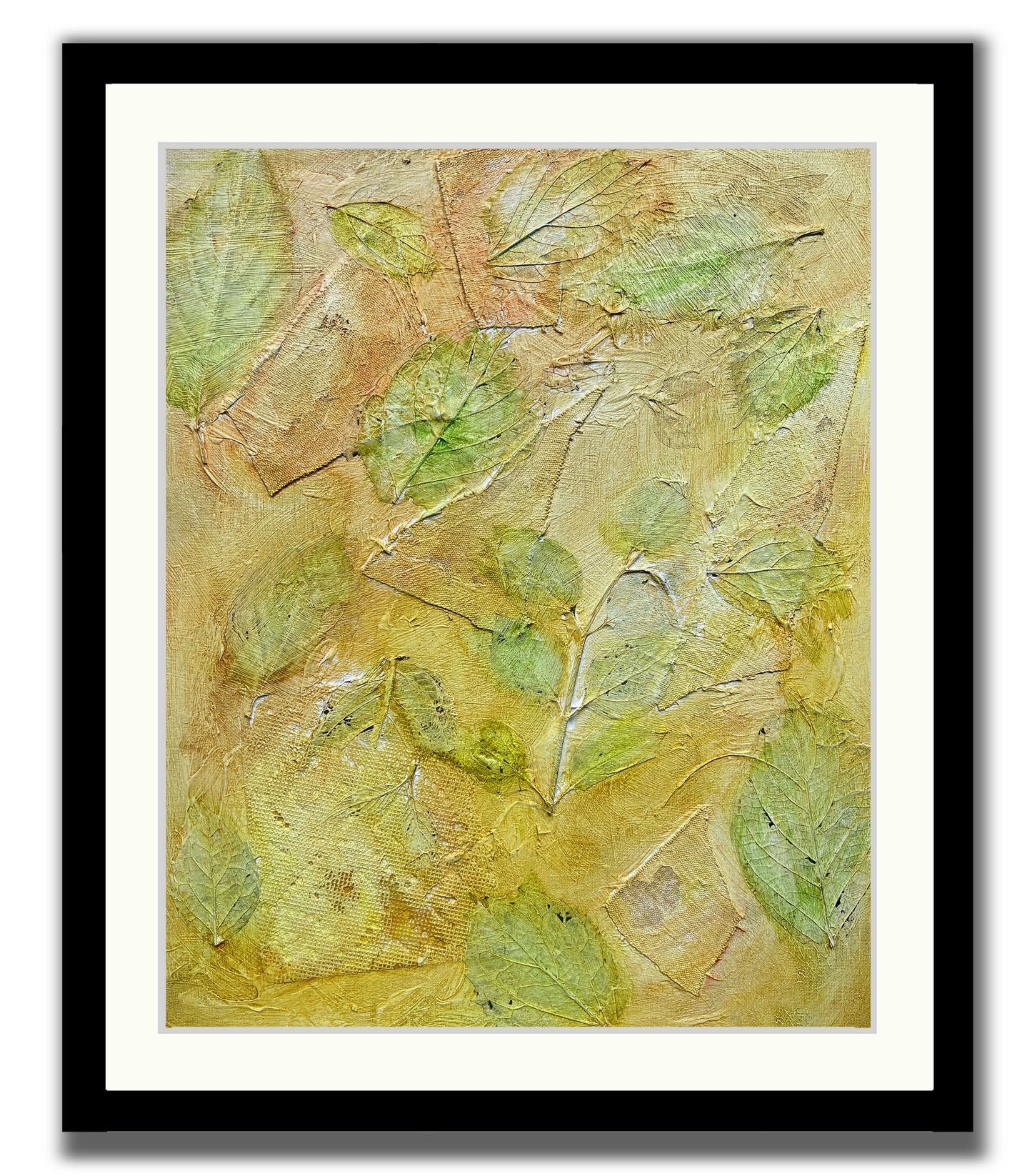 Garden Series 62