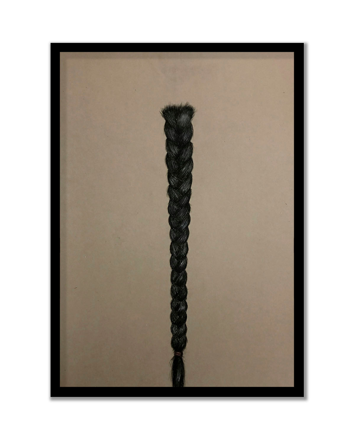 Pigtail Series 1