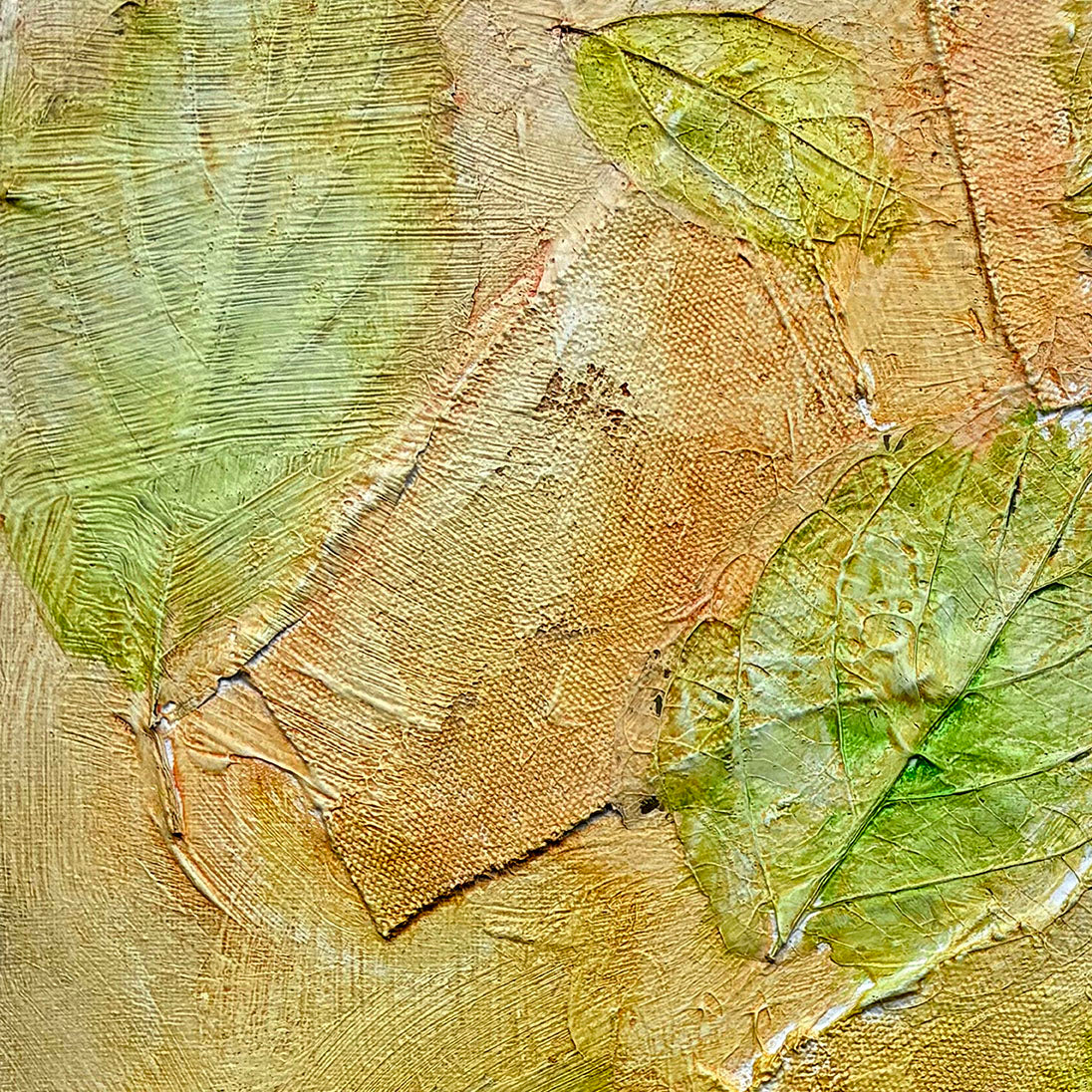 Garden Series 62