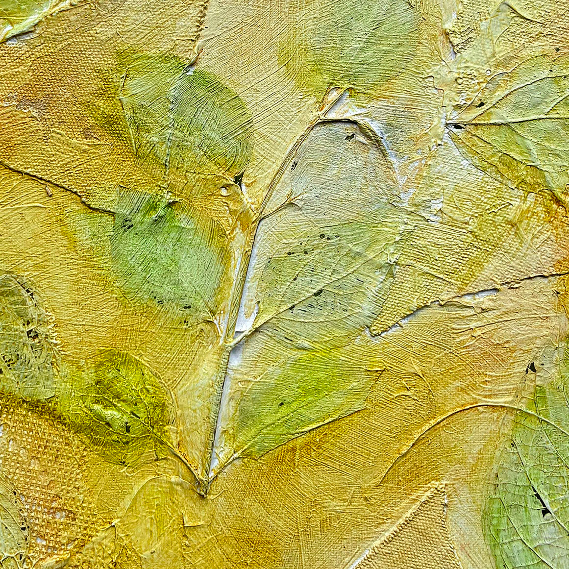 Garden Series 62