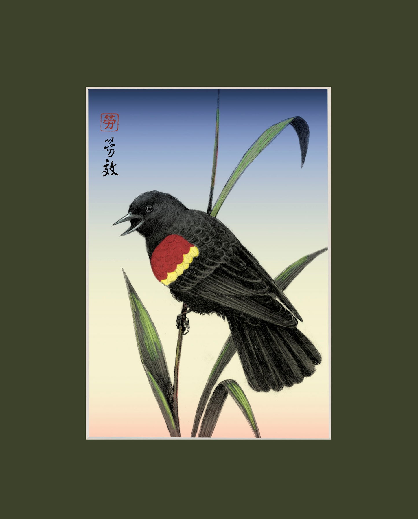 Red-winged Blackbird