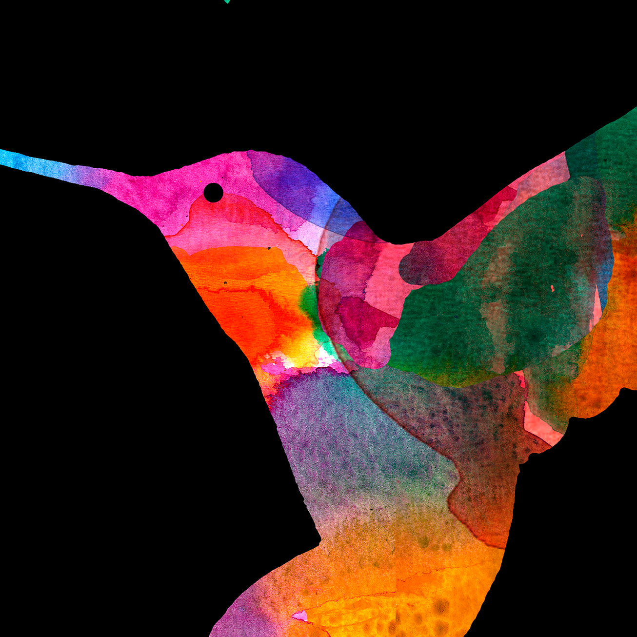 Hummingbird