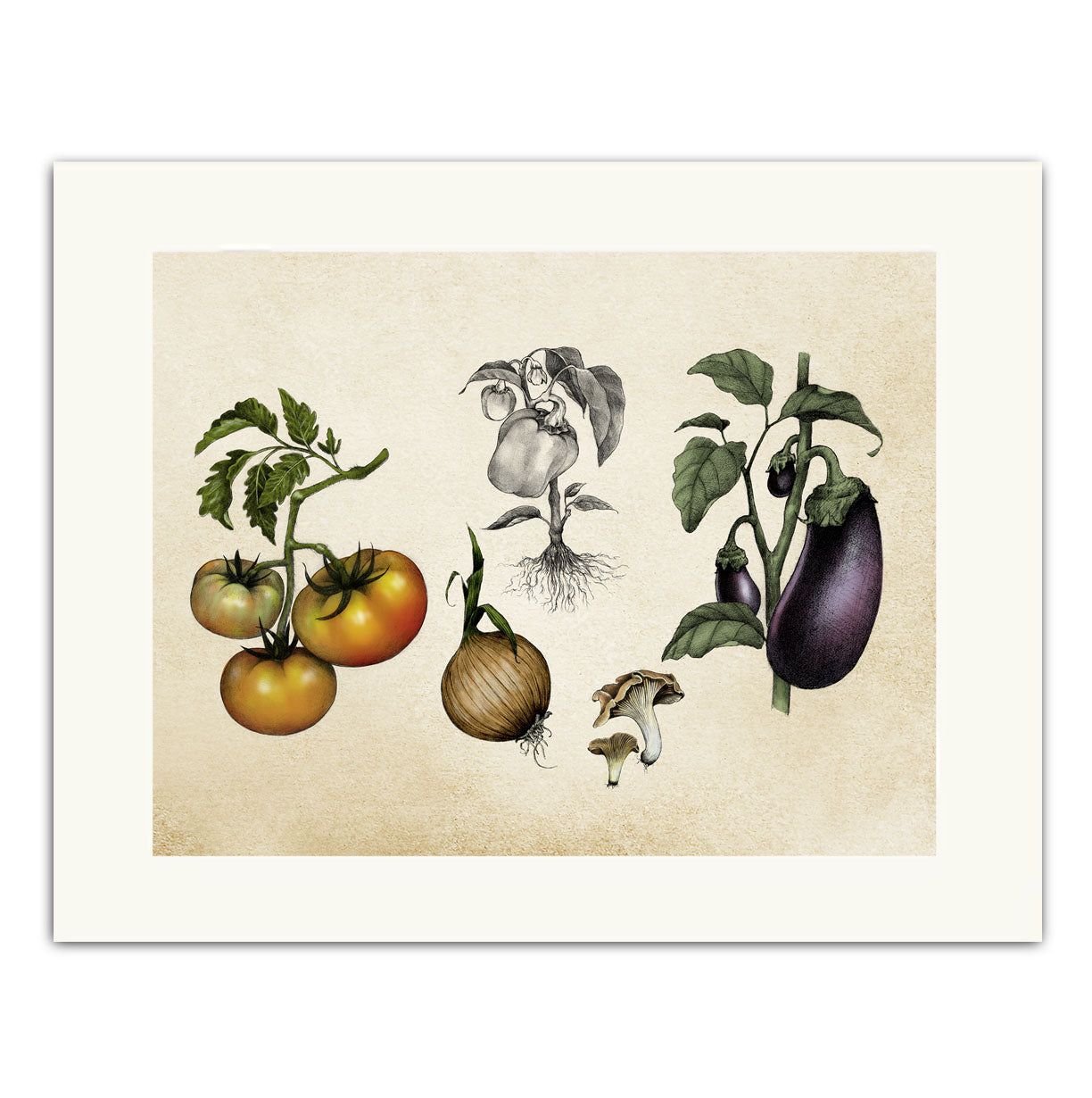 Mixed Vegetables