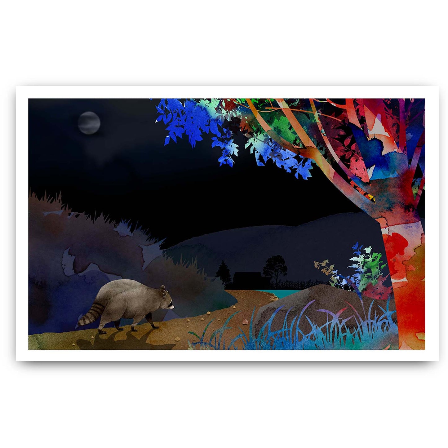 Under the Moonlight