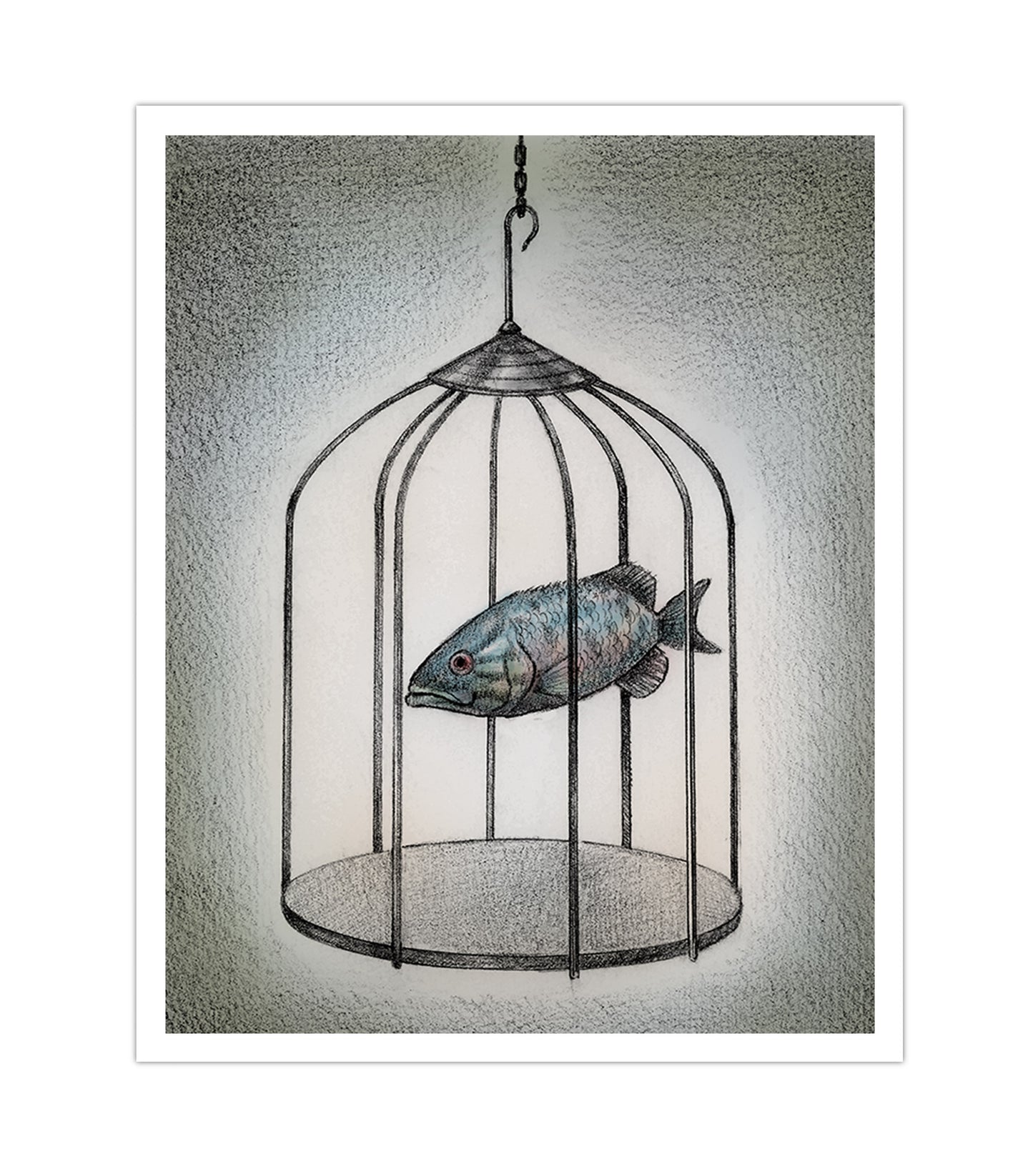 Fish Cage