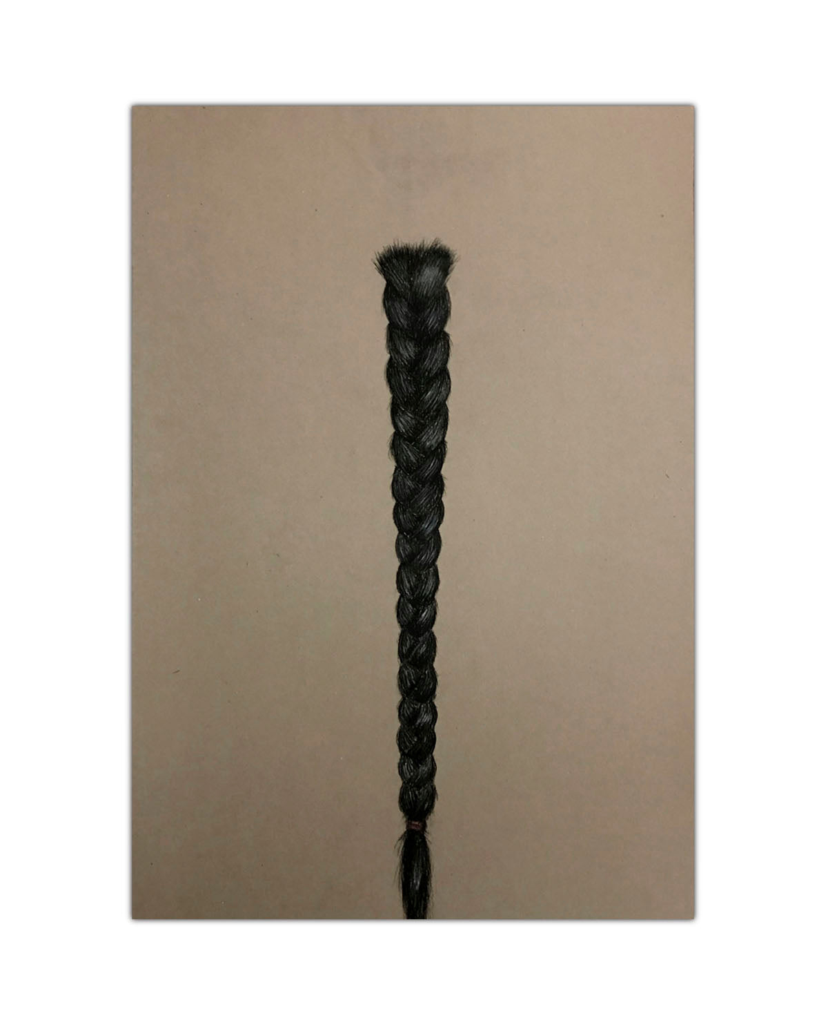 Pigtail Series 1