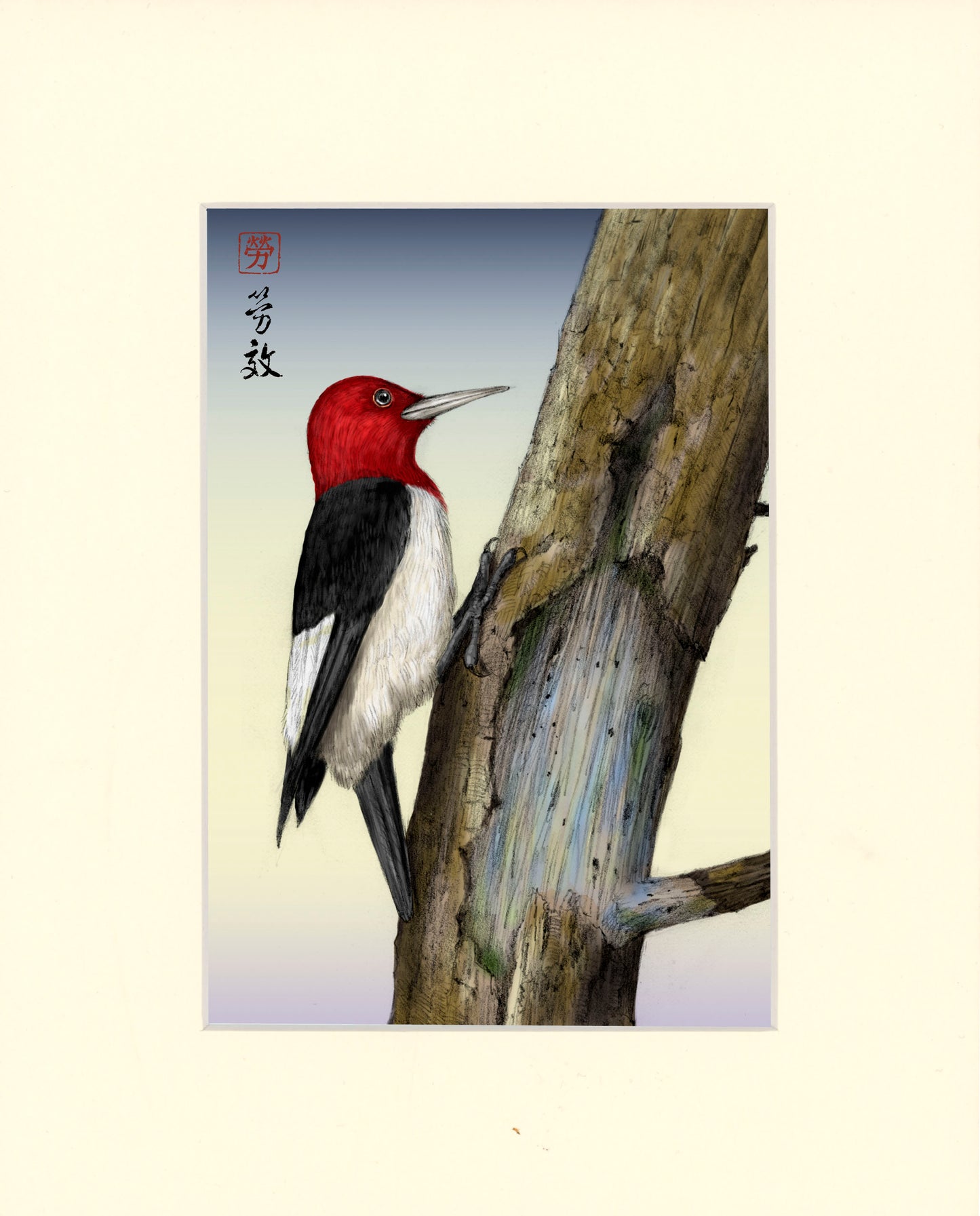 Red-headed Woodpecker