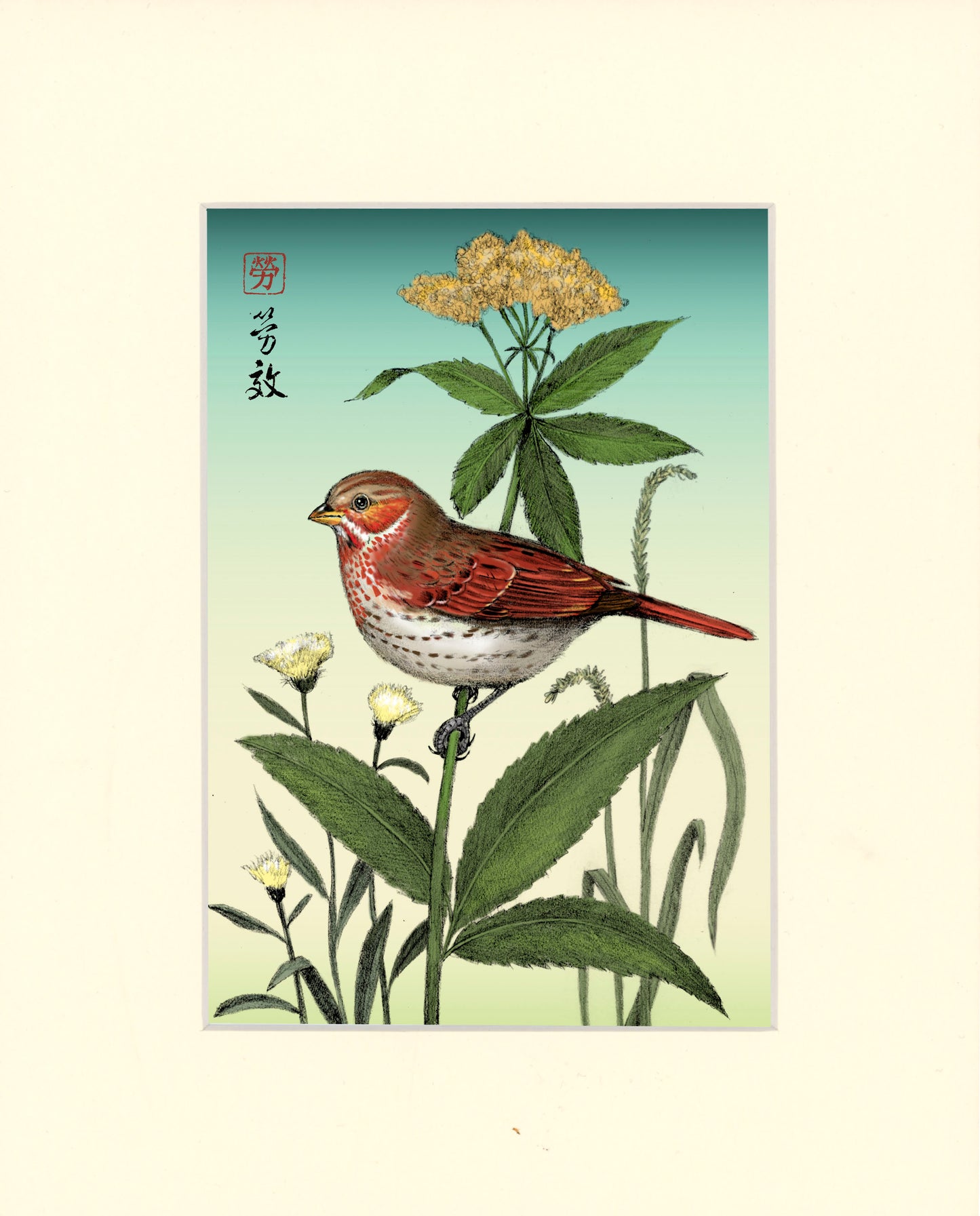 Fox Sparrow