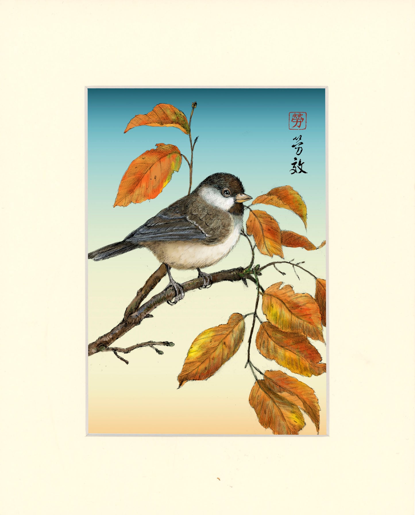 Black-capped Chickadee