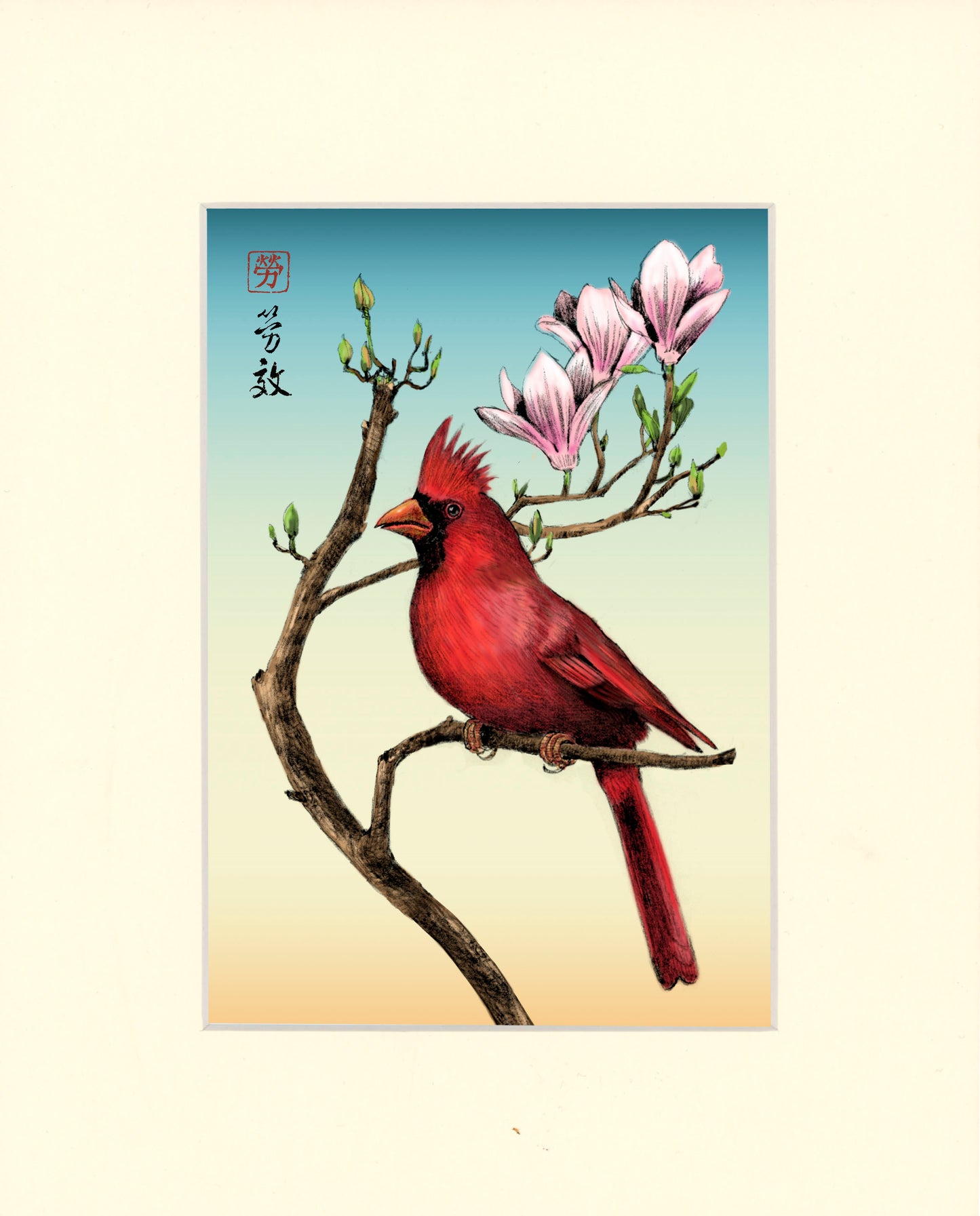 Male Cardinal