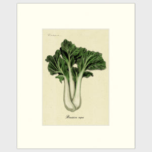 Open image in slideshow, Bok Choy
