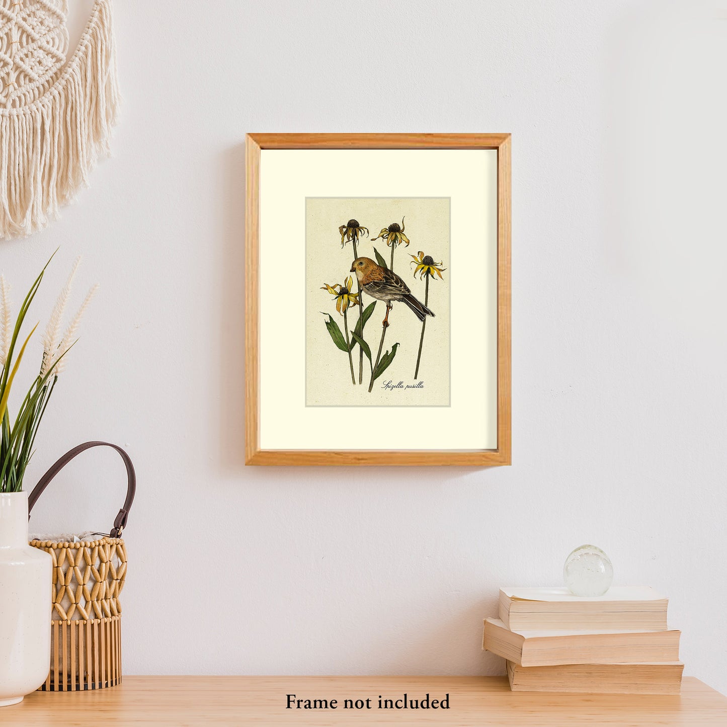 Field Sparrow