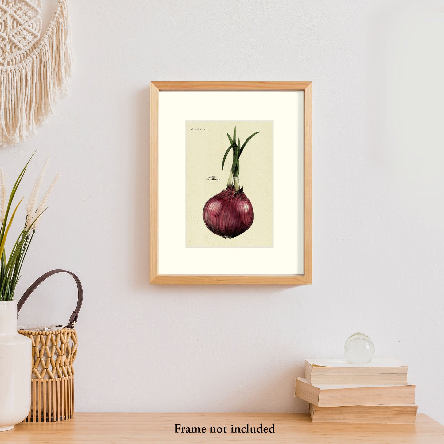 Red Onion
