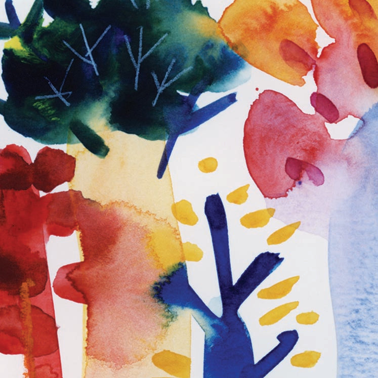 Tropical Forest Series 3