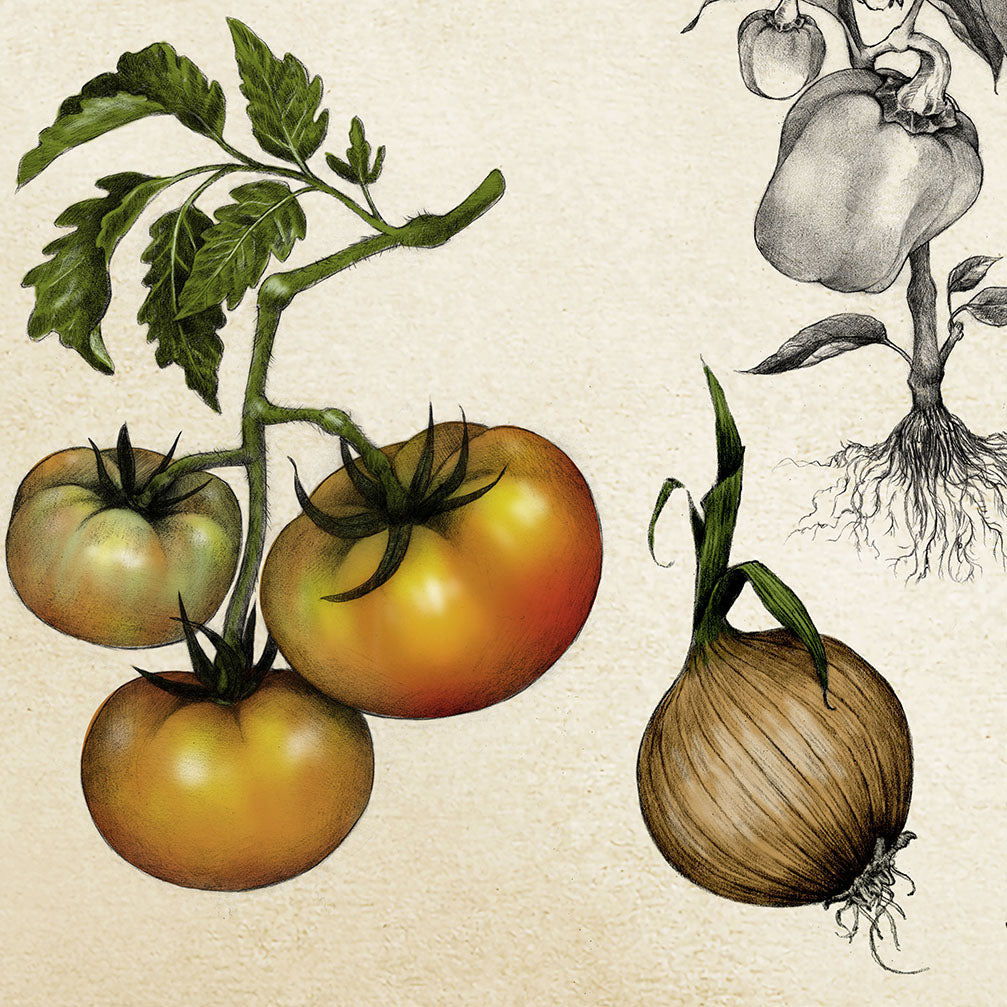 Mixed Vegetables