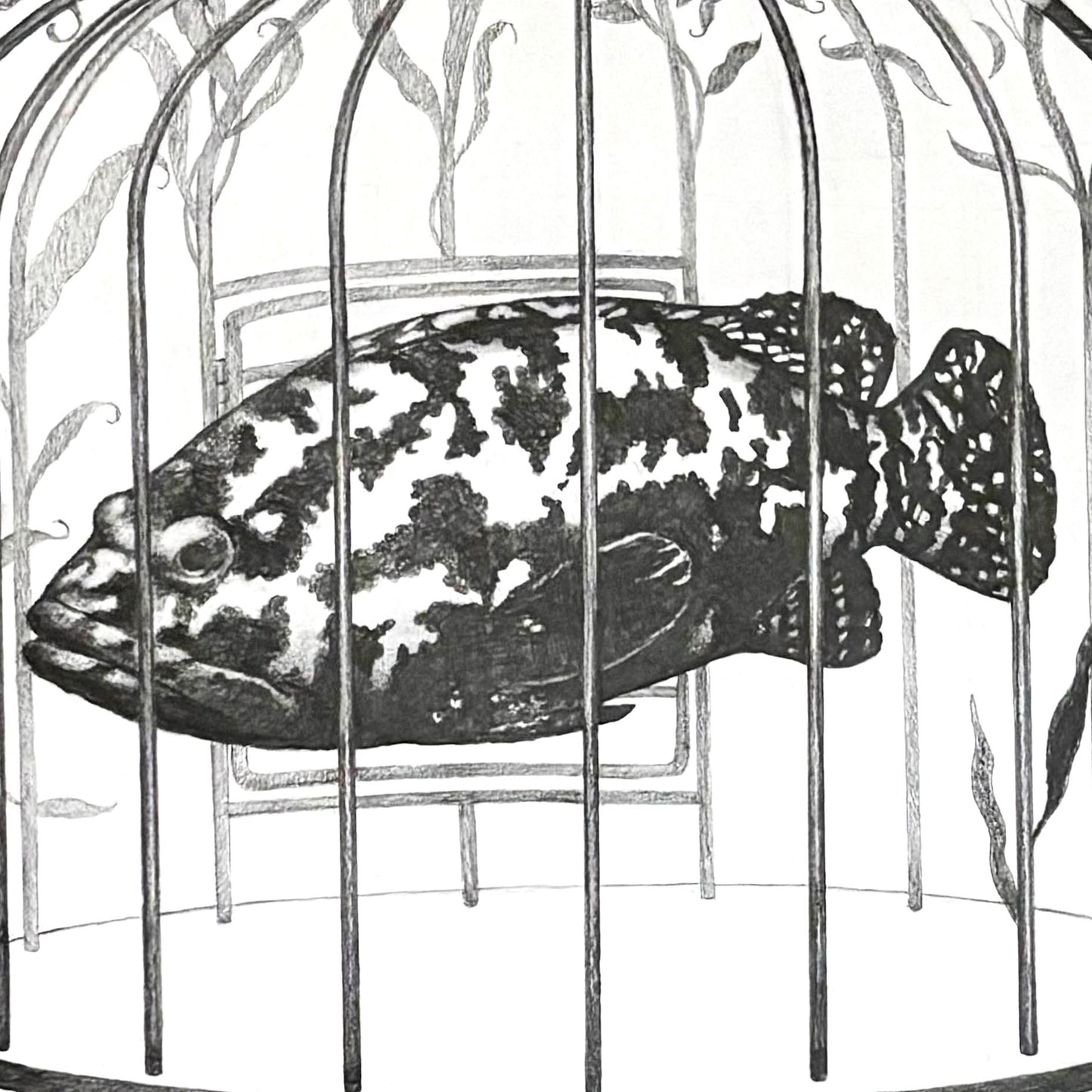 Fish Cage
