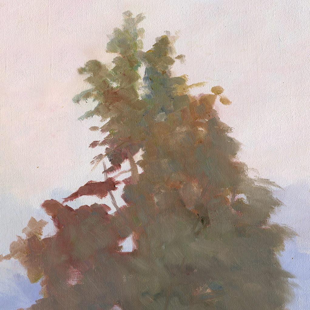 Morning Mist