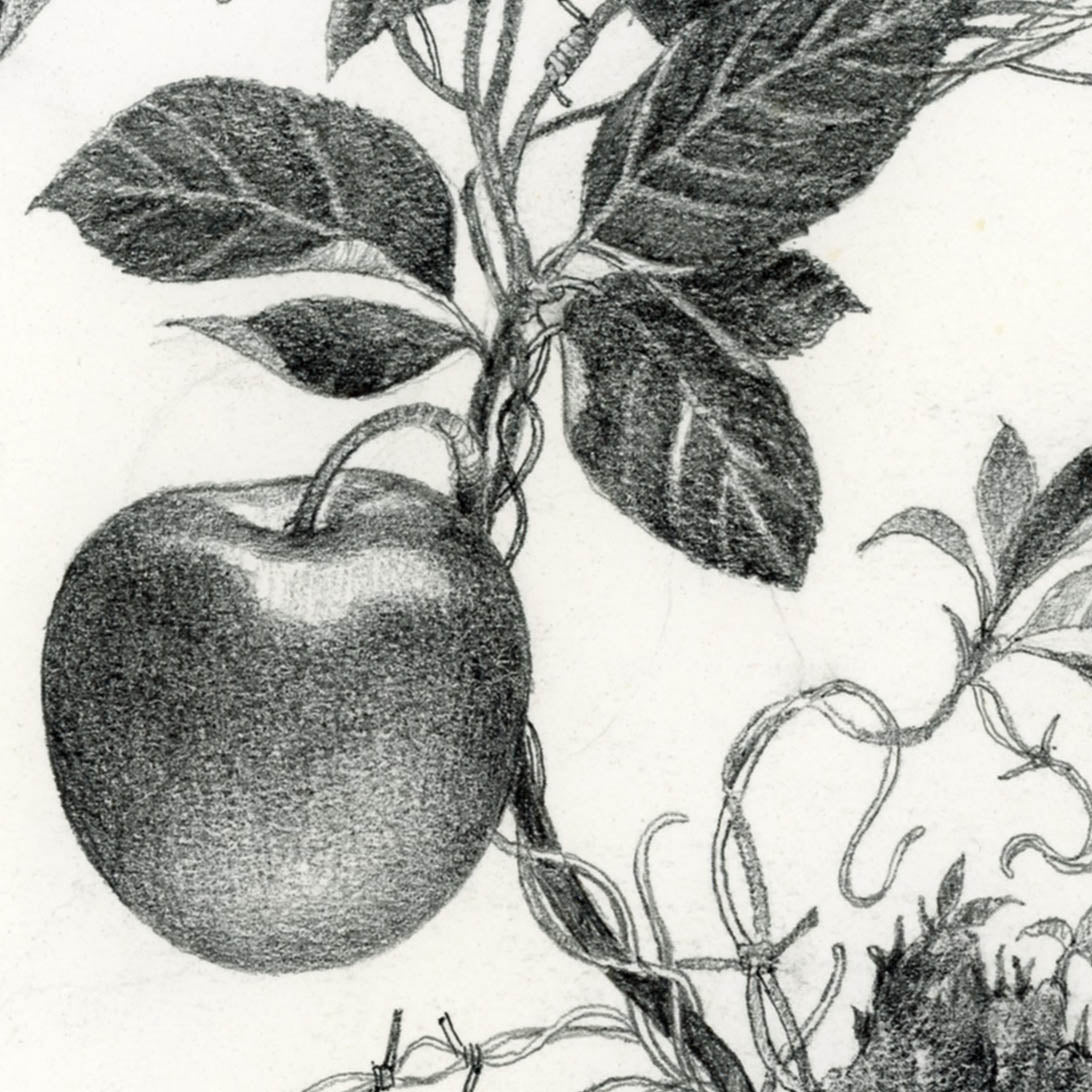 Forbidden Fruit