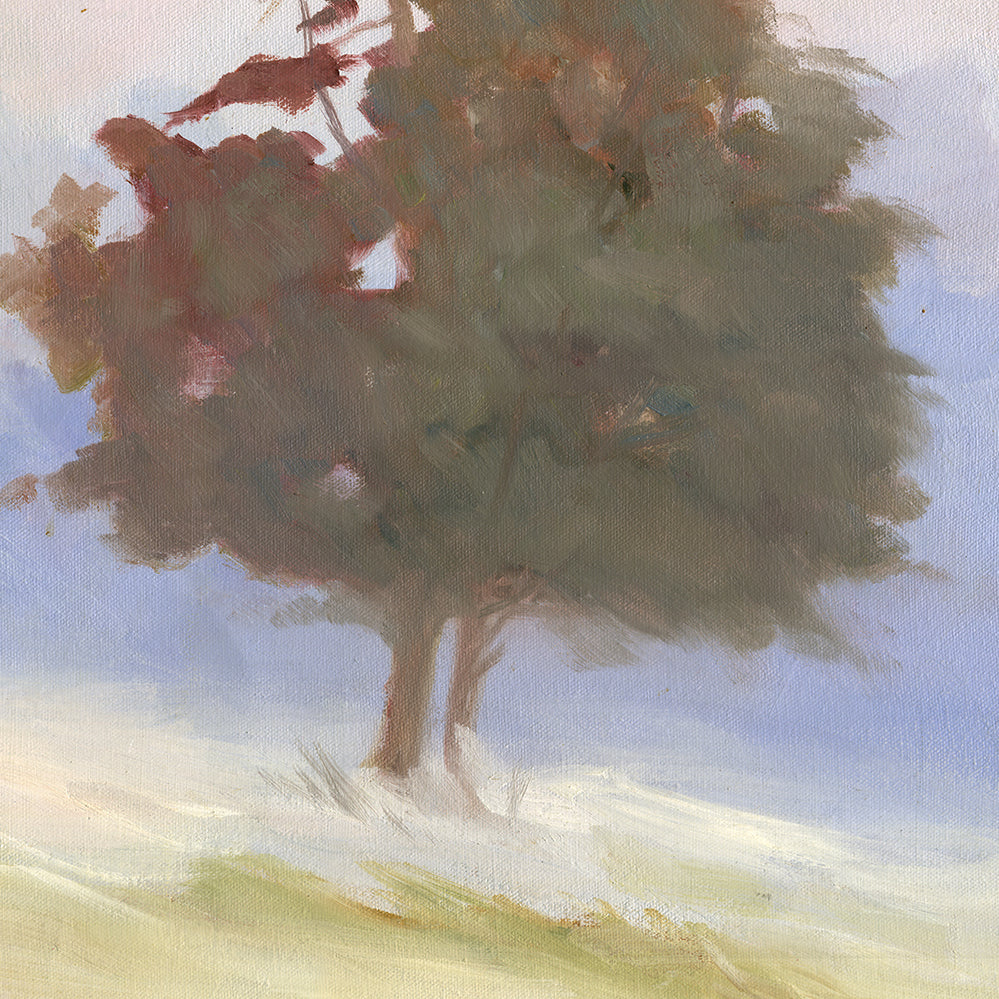 Morning Mist