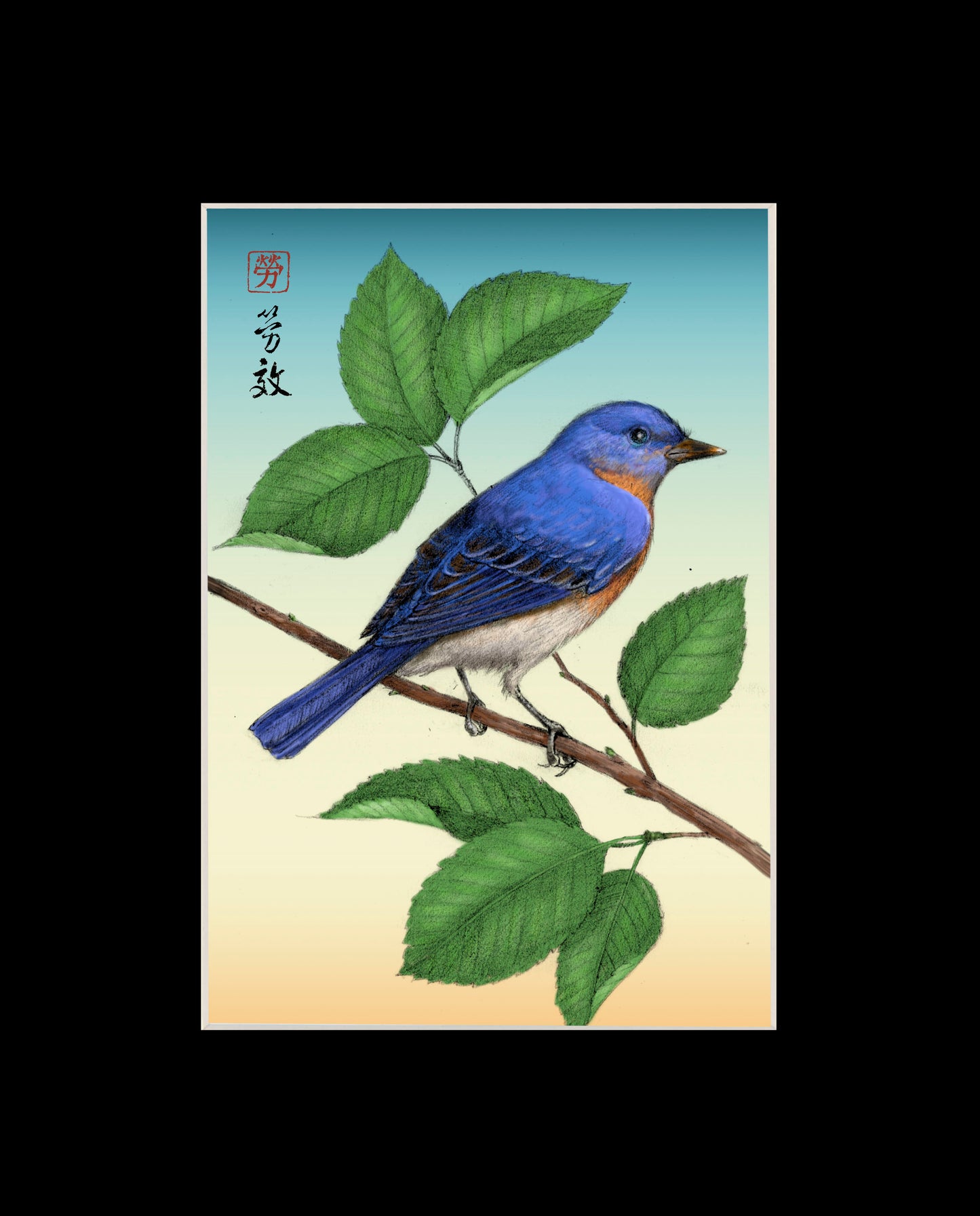 Eastern Bluebird