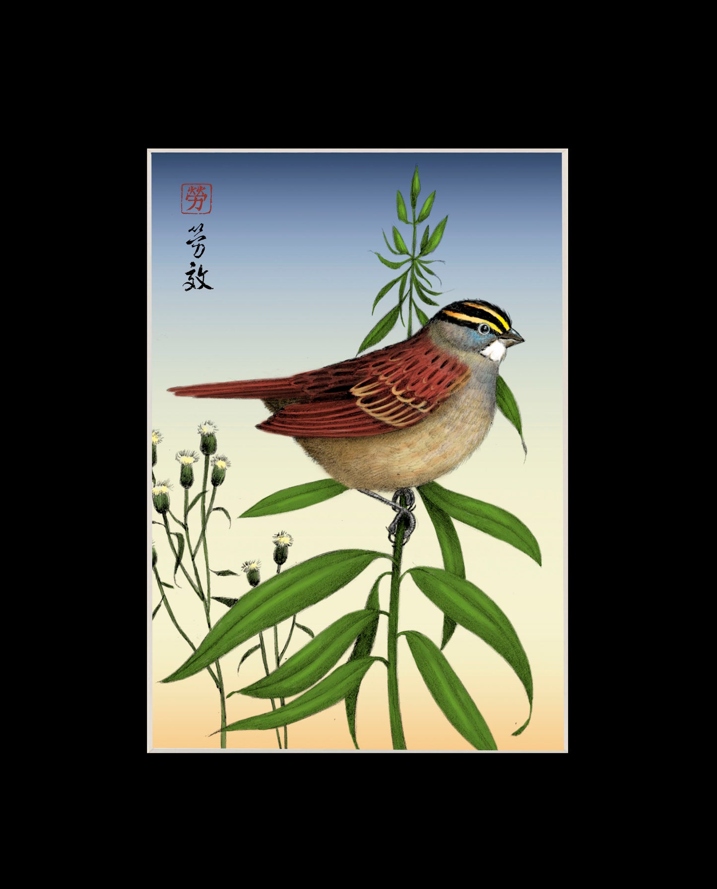 White-throated Sparrow
