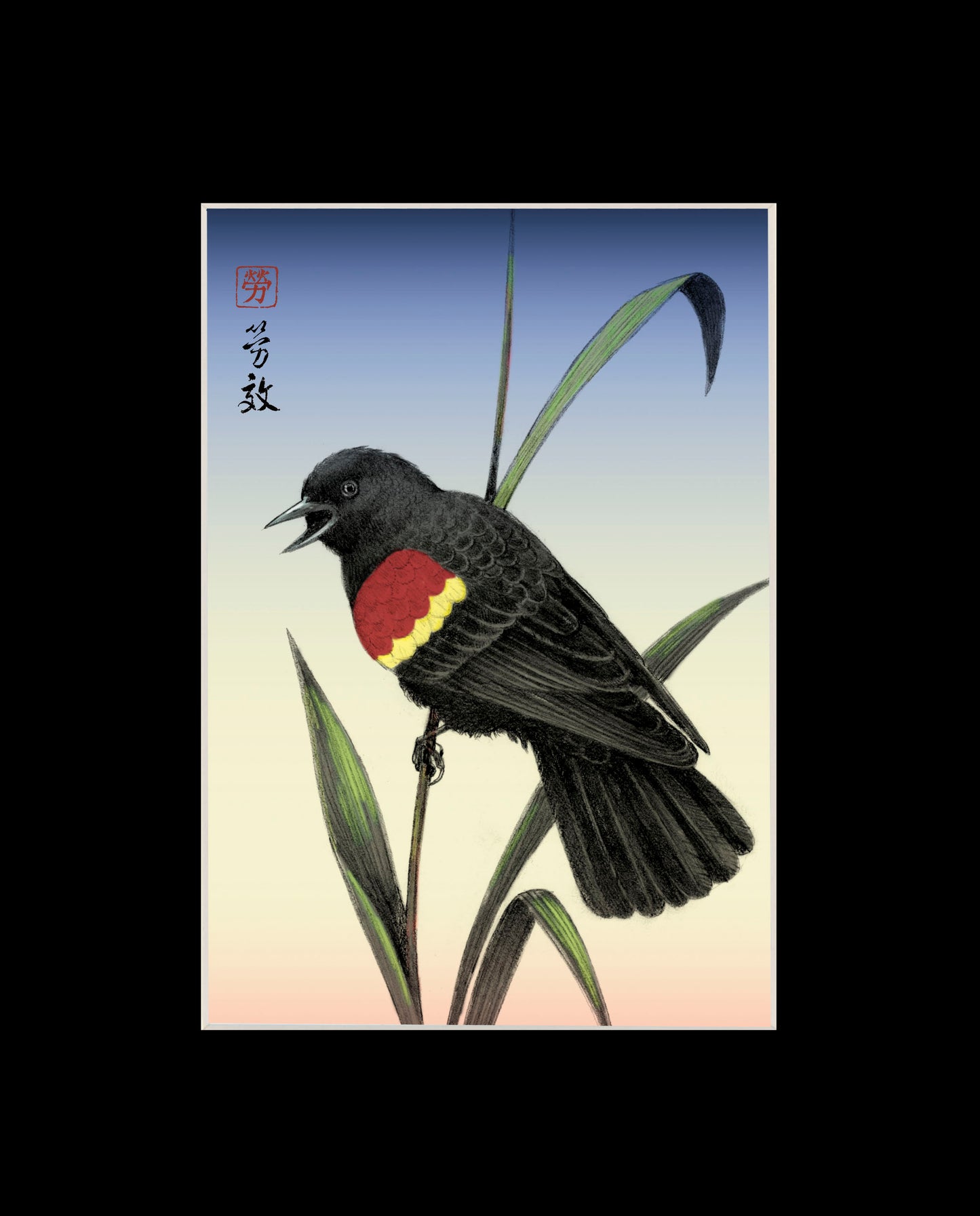 Red-winged Blackbird