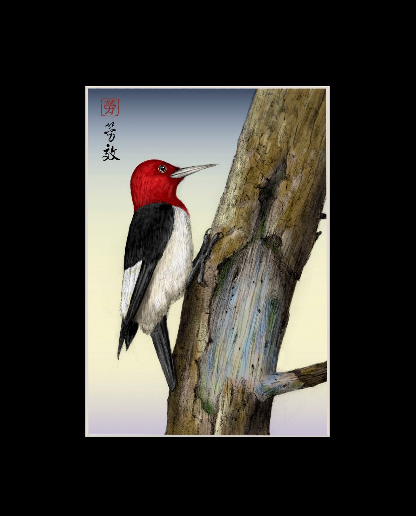 Red-headed Woodpecker