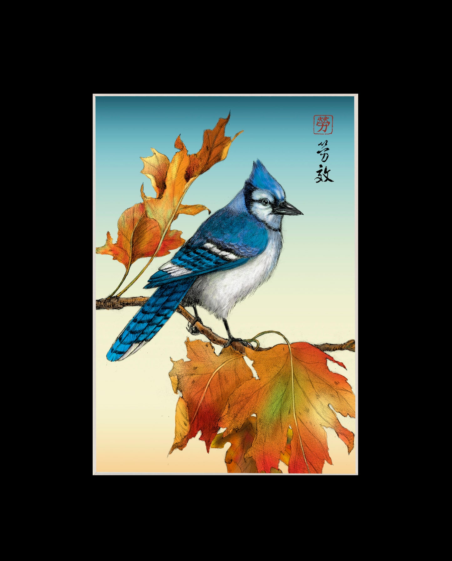 Bluejay
