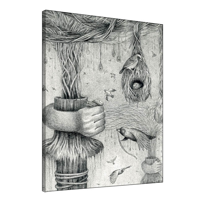 Bird Nests