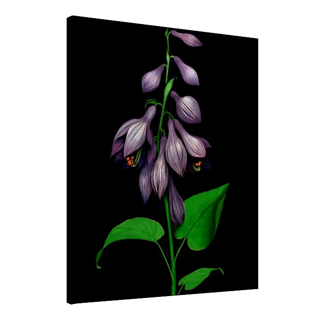Purple Bells