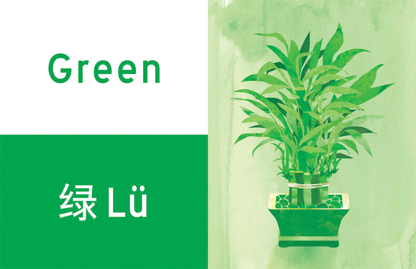 Chinese New Year Colors