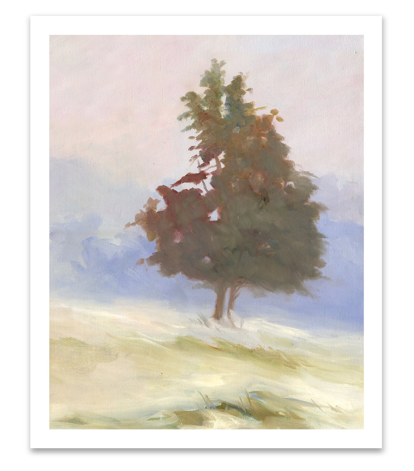 Morning Mist