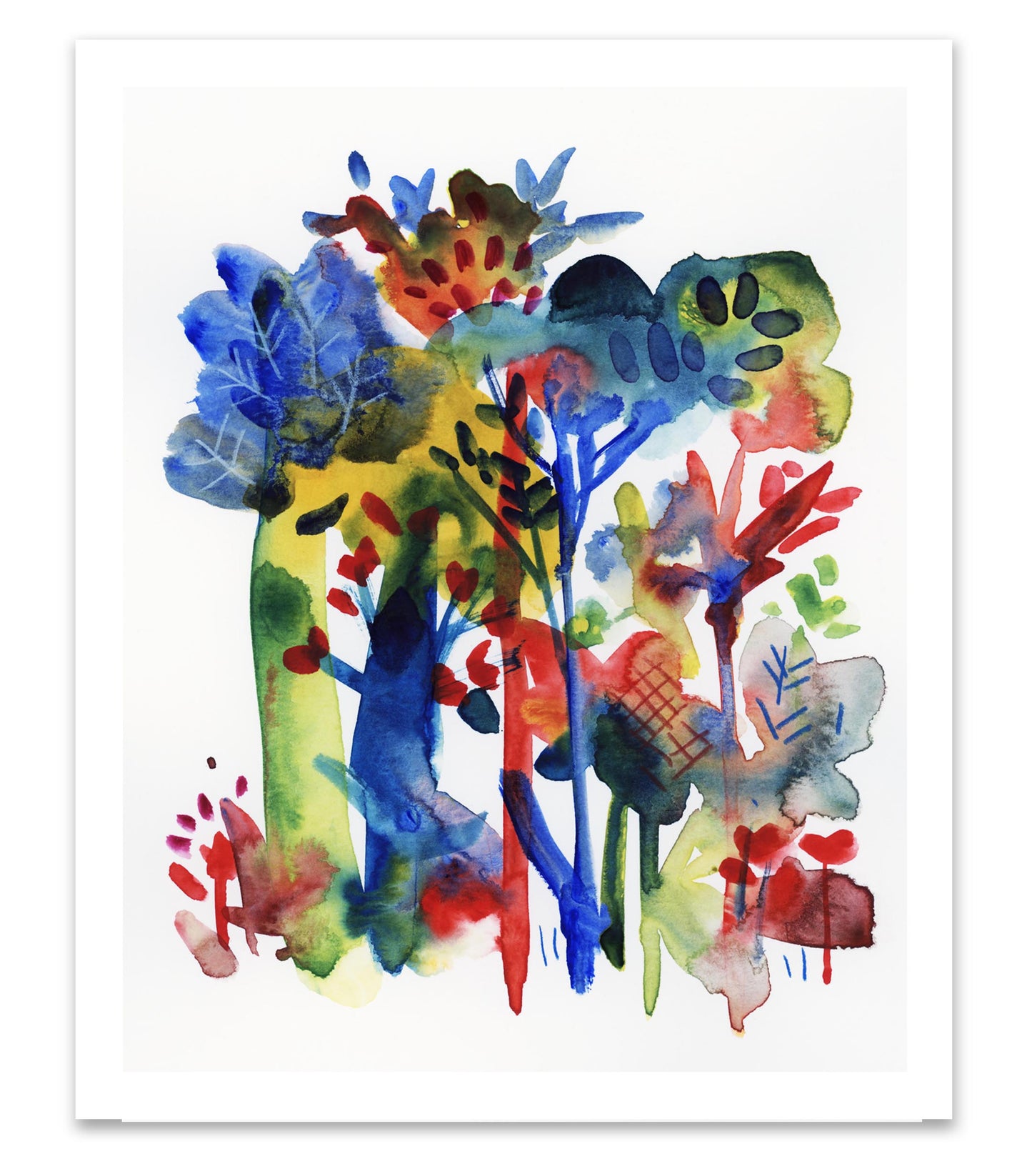 Tropical Forest Series 1