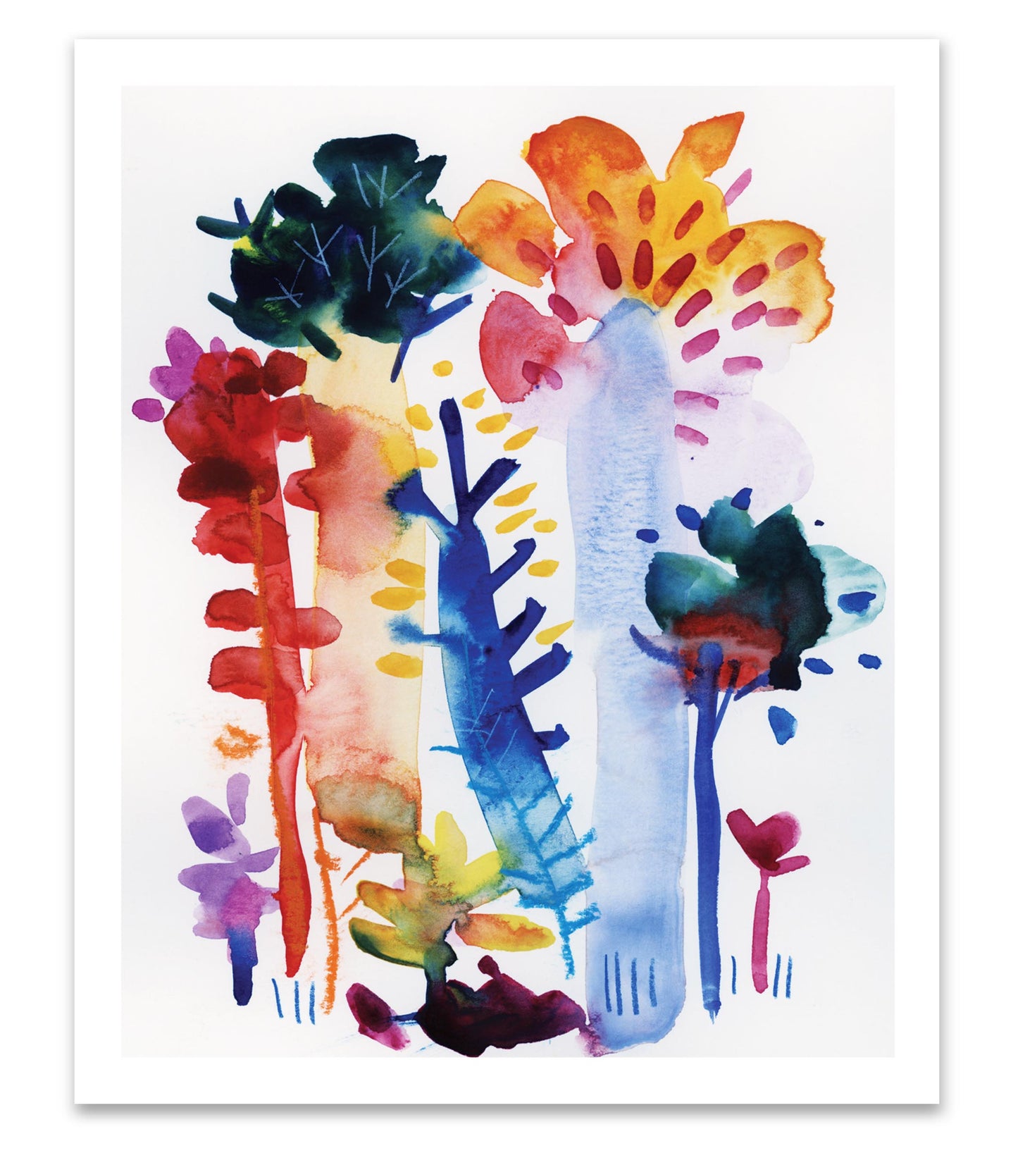 Tropical Forest Series 3