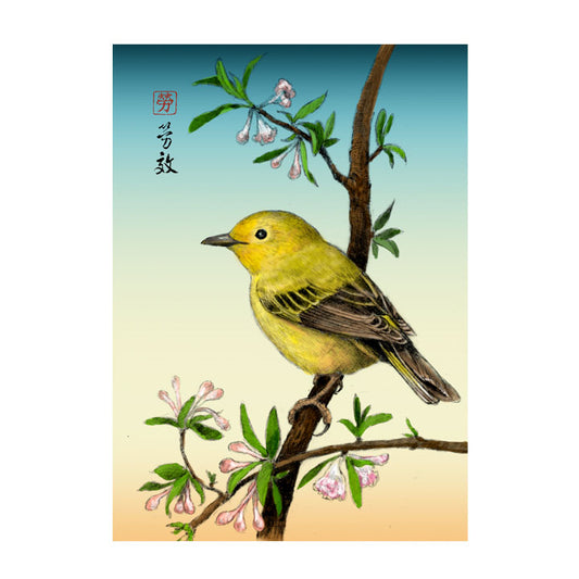 Yellow Warbler
