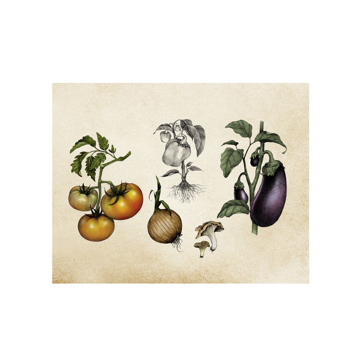 Mixed Vegetables
