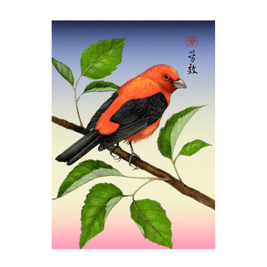 Scarlet Tanager