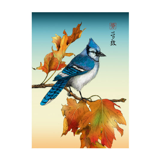 Bluejay