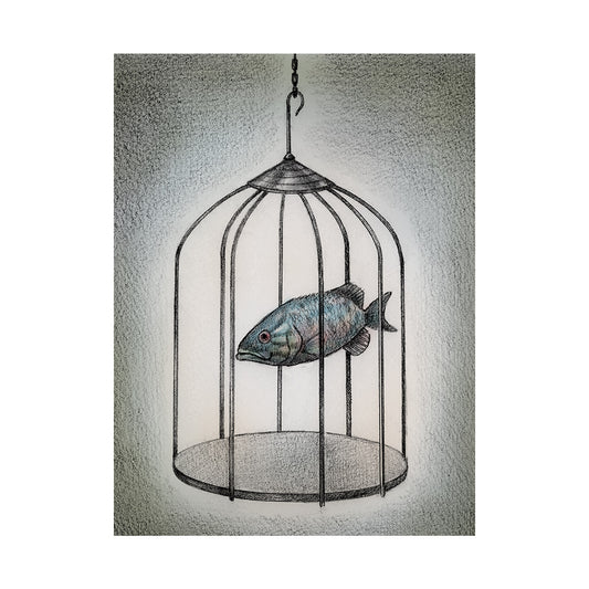 Fish Cage