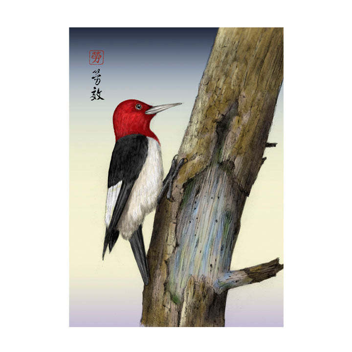 Red-headed Woodpecker