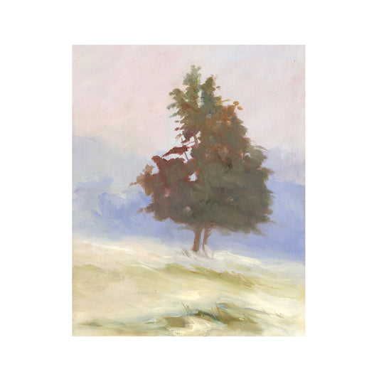 Morning Mist