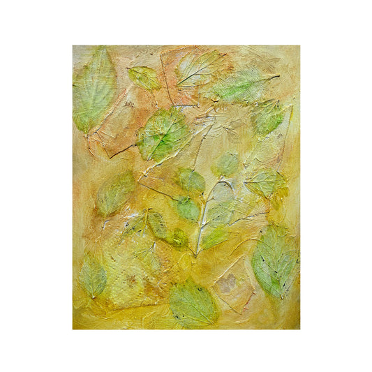 Garden Series 62